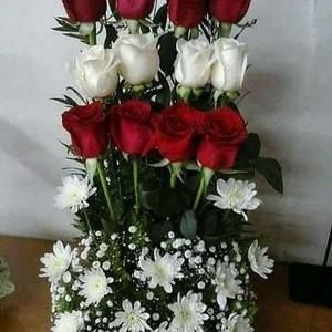 Meet your Posher, Dora